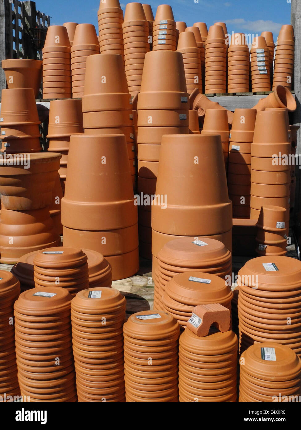 Terracotta Terrakotta Terrakotta-Blumentöpfe Pflanze Stockfoto