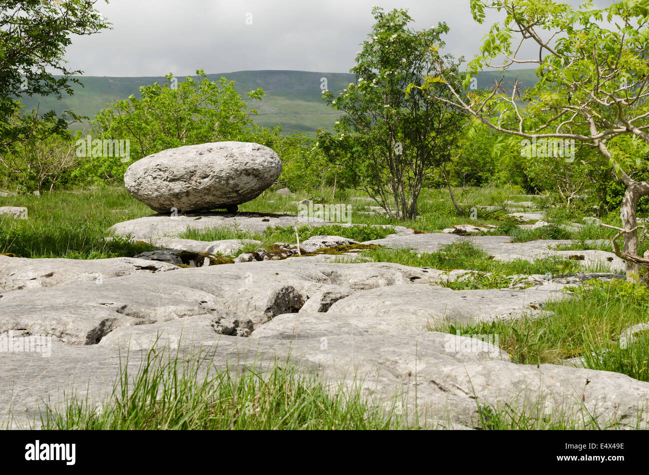 Kalkstein-Felsen bei Ingleborough Stockfoto