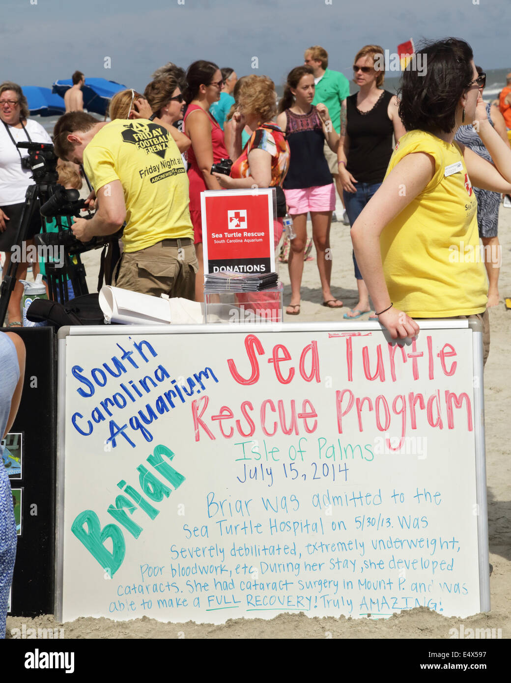 South Carolina, USA. 15. Juli 2014. Briar befreit die Meeresschildkröte nach knapp einem Jahr des Seins aufgepäppelt durch das South Carolina Aquarium Sea Turtle Rescue-Programm. Sie wurde am 30. Mai 2013, extrem Undeweight, mit Armen Bloodworks gefunden und Katarakt entwickelt hatte. Nach der Operation und Wochen der Krankenpflege am Programm war sie schließlich gut genug, um am 15. Juli 2014 frei einstellbar Credit: Brian Jordan/Alamy Live News Stockfoto