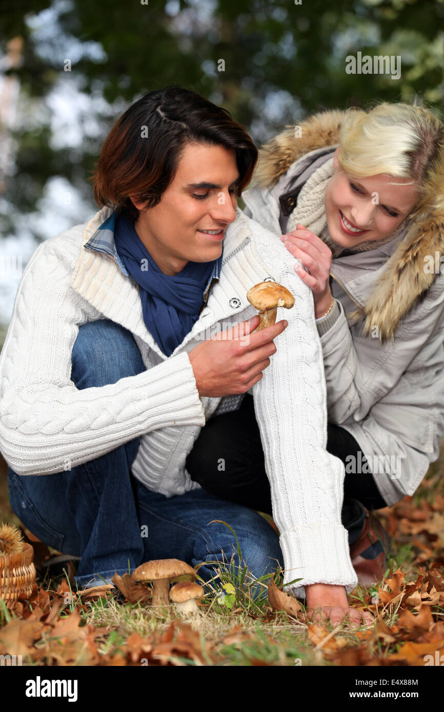 Paar Kommissionierung Pilze im Wald Stockfoto