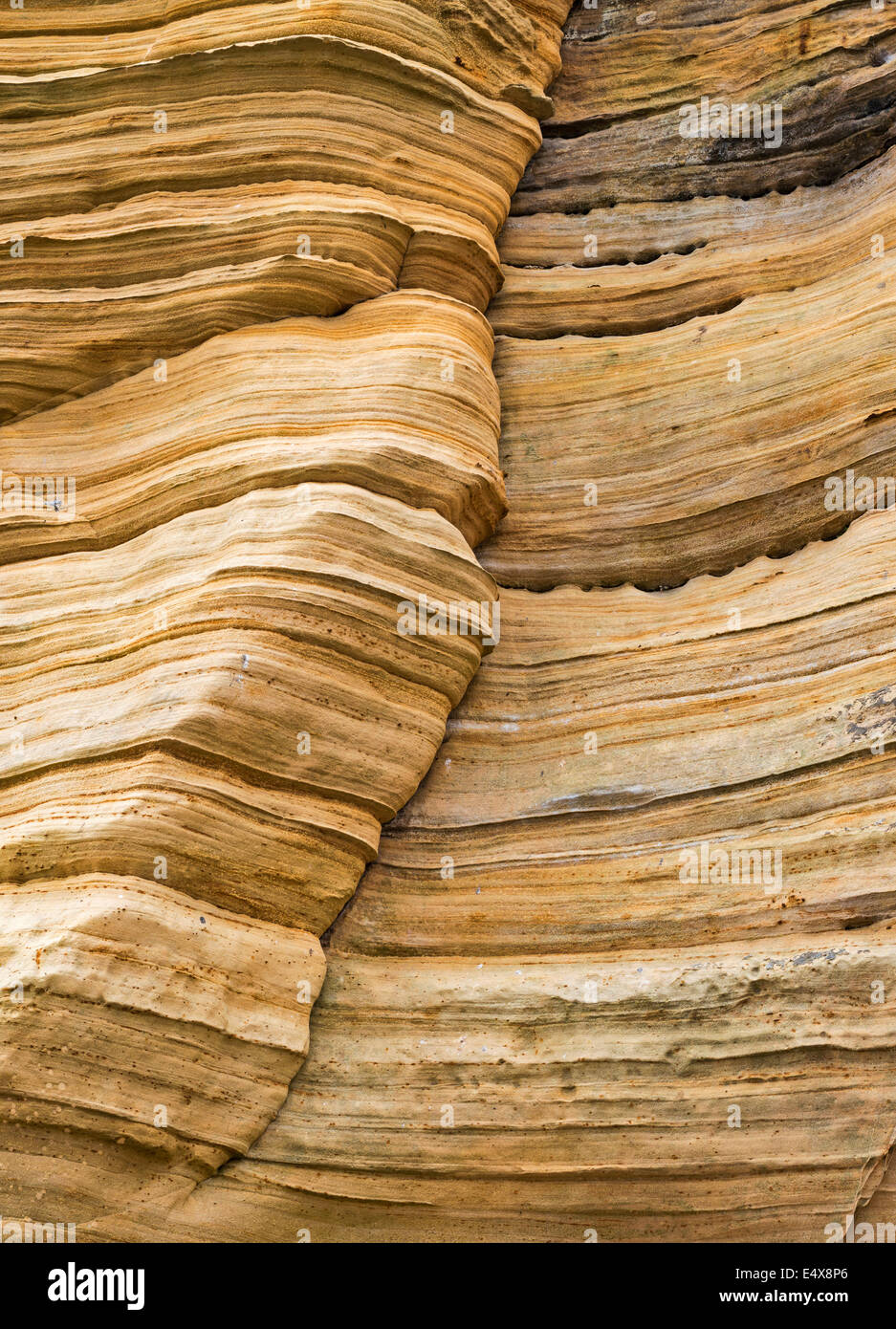 SANDSTEIN-KLIPPEN GEBILDET 250 MILLIONEN JAHREN AUS DER SAHARA MIT PRE DINOSAURIER BLEIBT LOSSIEMOUTH MORAY KÜSTE SCHOTTLAND VOR Stockfoto