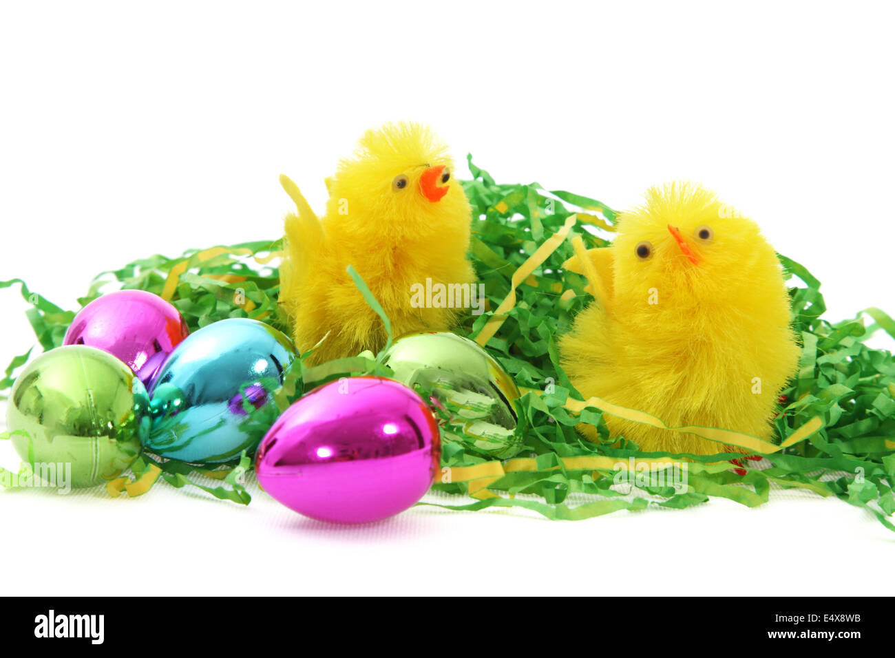 Ostern-Küken und Eiern Stockfoto