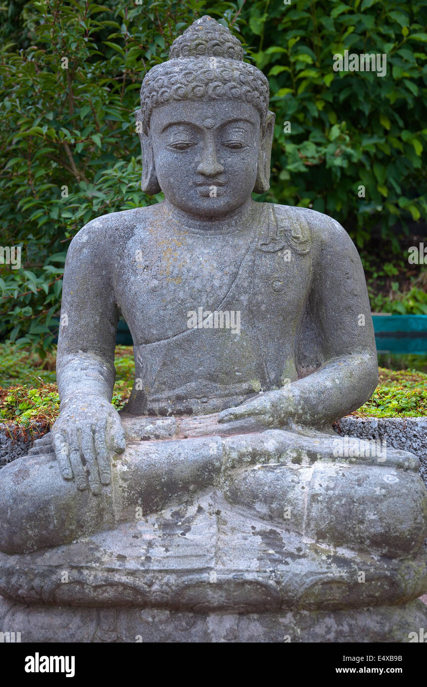 Stein Buddha im Lotussitz. Stockfoto