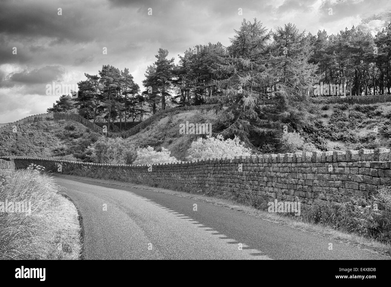 Eine Trockenmauer entlang einer Straße am Coldwell Vorratsbehälter, Lancashire Stockfoto