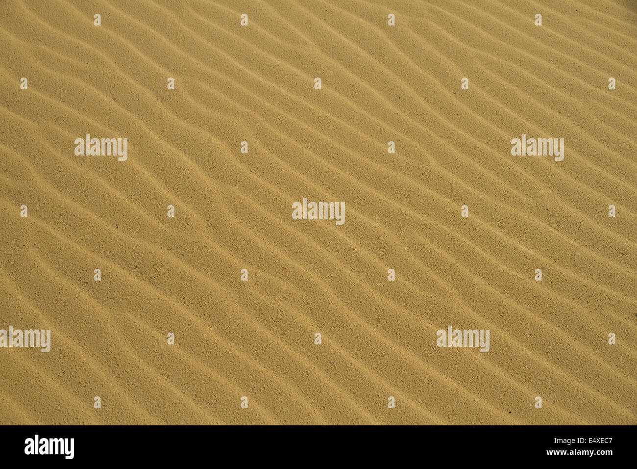 Golden Sand Textur Stockfoto