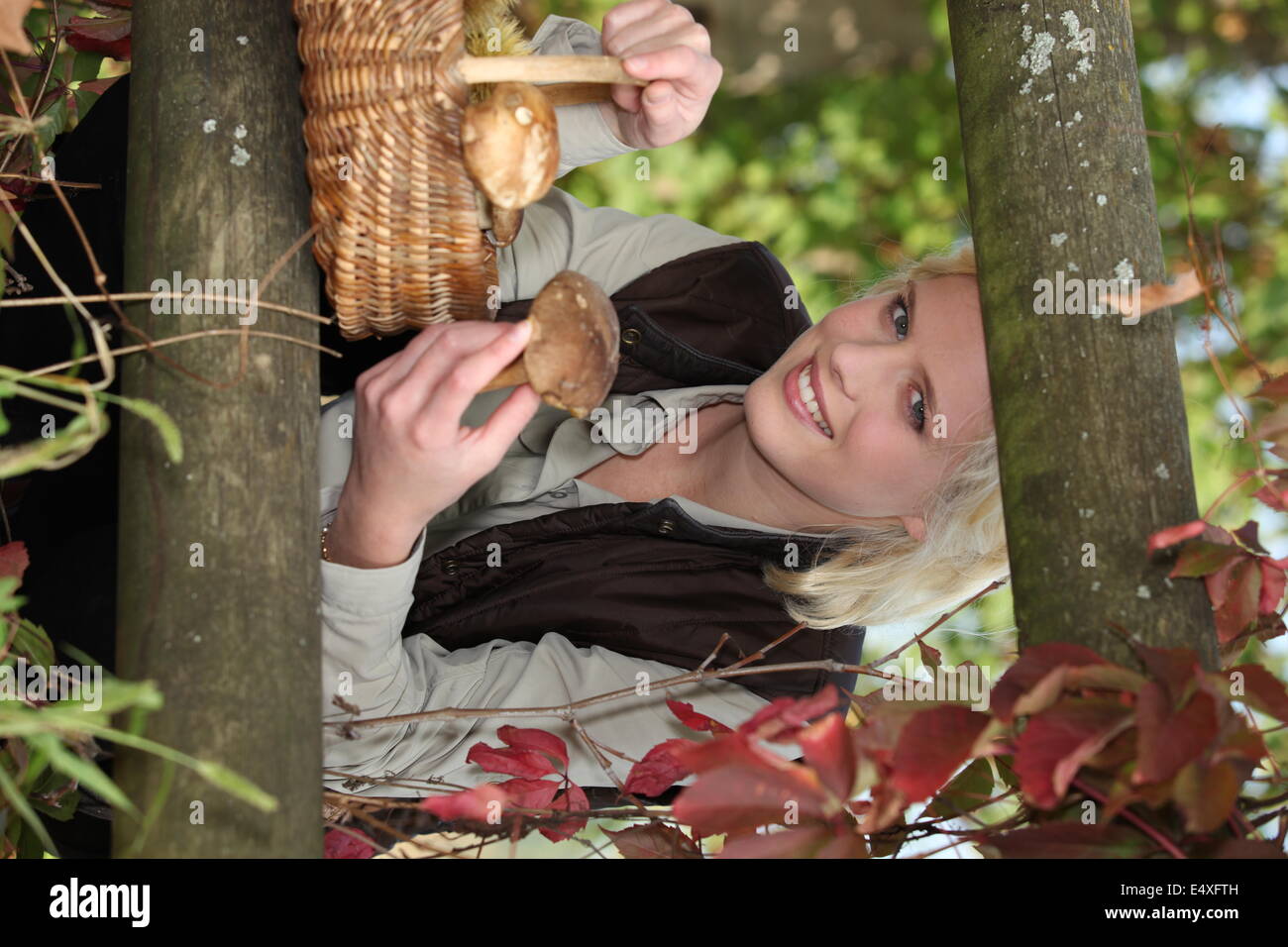 Frau, die Pilze im Wald Stockfoto
