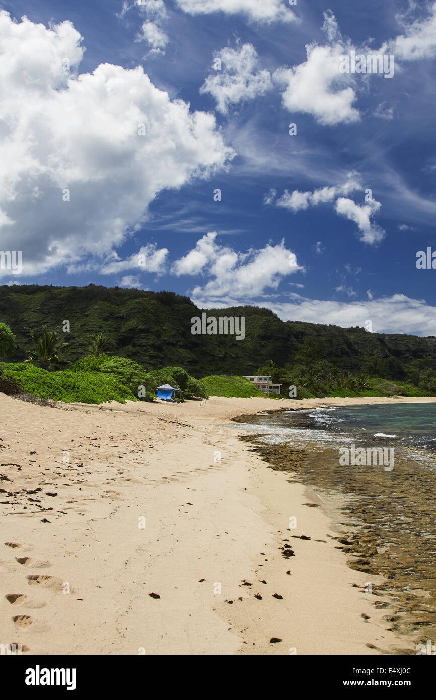 Hawaiian Strand Stockfoto