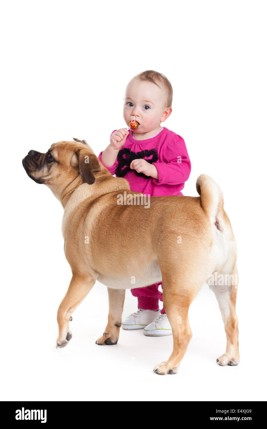 kleines Mädchen mit dem großen Hund. Stockfoto
