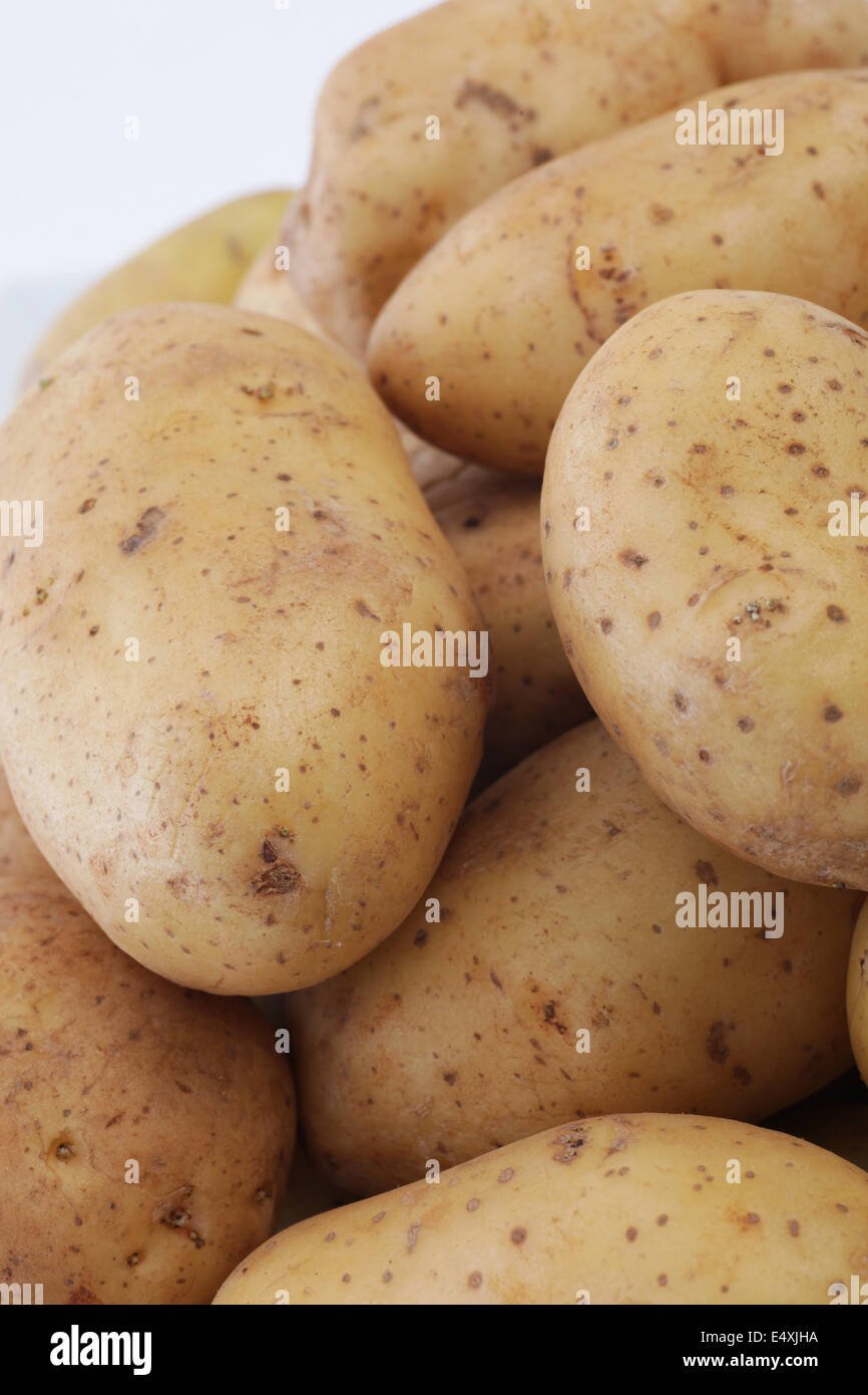 Bauernhof frischen Kartoffeln Stockfoto Bauernhof frischen Kartoffeln Stockfoto