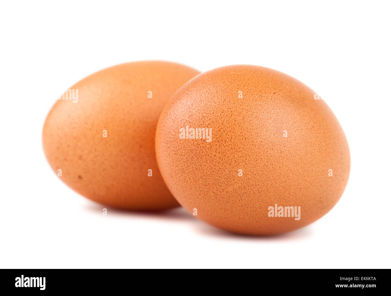 Paar braune Eier Stockfoto