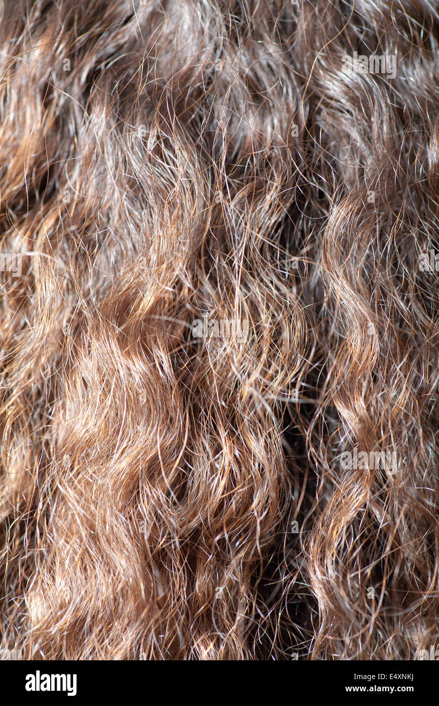 lange braune Haare als Hintergrund Stockfoto
