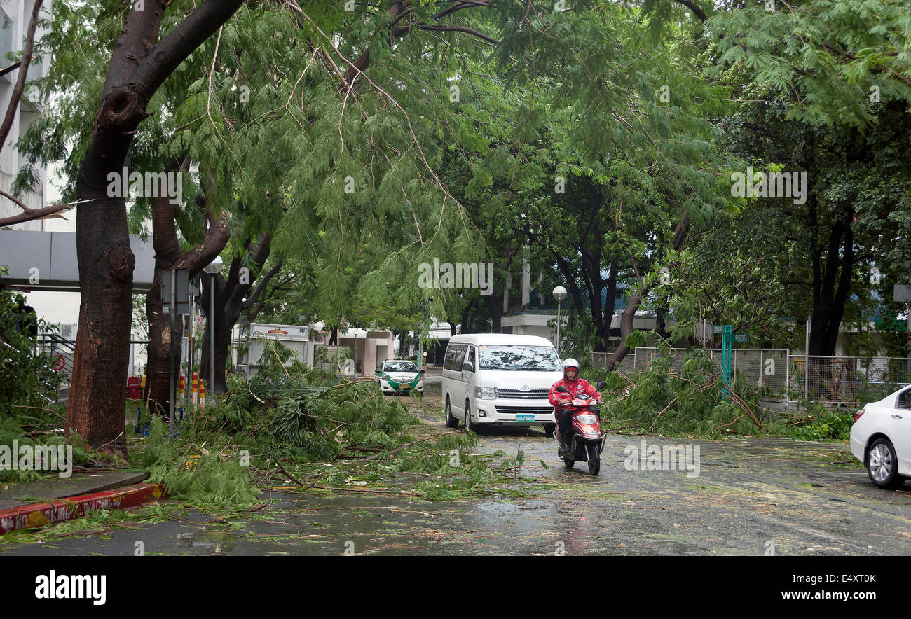 Manila, Philippinen. 16. Juli 2014. Taifun Rammasun (lokaler Name Glenda), trifft Manila Geschäft Bezirk von Makati, Philippinen, Bäume zu zerstören und Verwüstung für Autofahrer und Pendler am 16. Juli 2014. Schulklassen wurden ausgesetzt und Banken und Geschäfte wurden geschlossen, in Erwartung des Sturms, einer der drei Taifune erwartet, dass das Land in den nächsten Wochen Juli getroffen. Bildnachweis: David Hodges/Alamy Live-Nachrichten Stockfoto