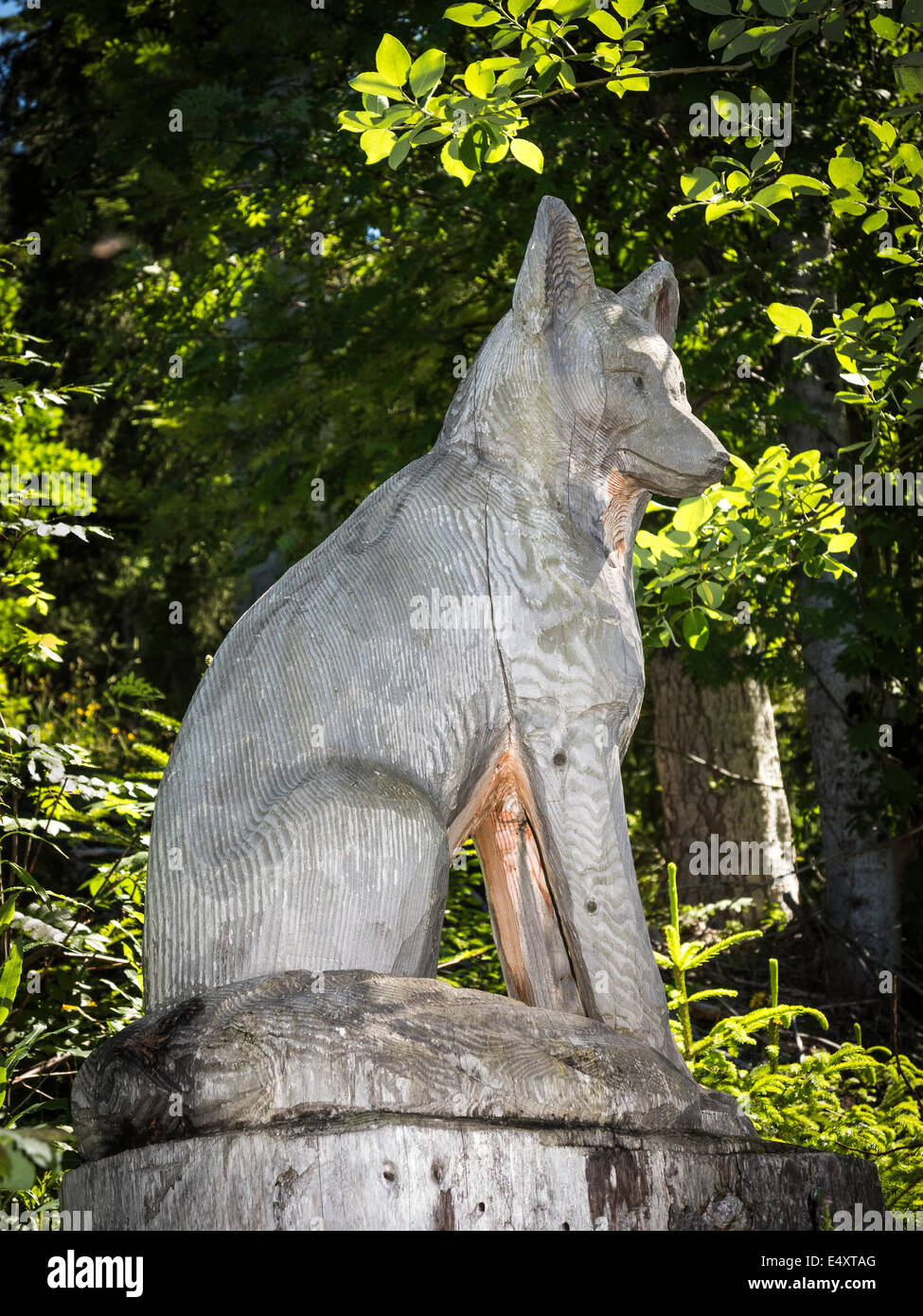 Eine hölzerne Skulptur von einem Fuchs (oder vielleicht Wolf), geschnitzt  aus einem Baumstamm entlang einem Naturlehrpfad in der Schweiz  Stockfotografie - Alamy