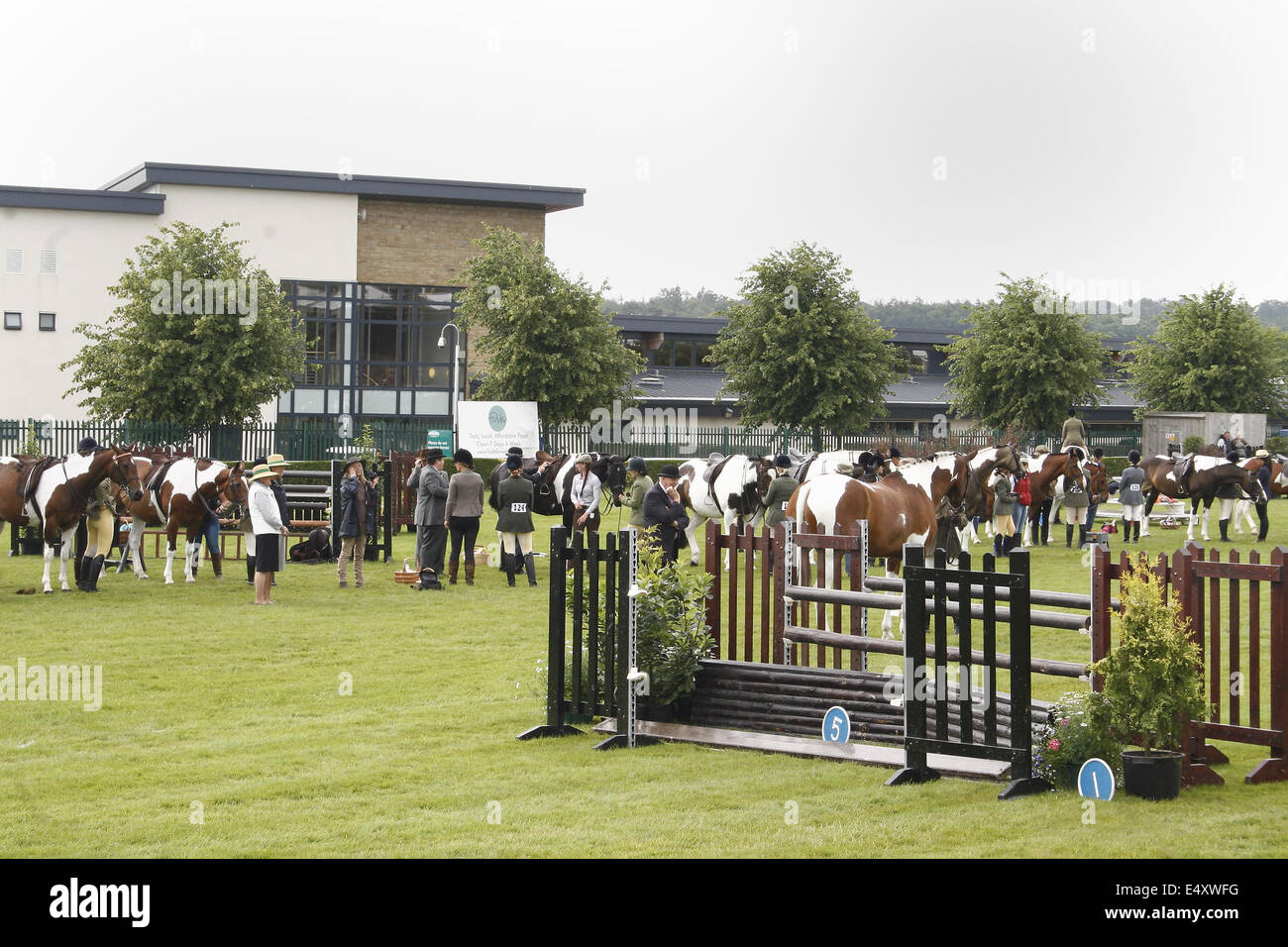 Fahrer gefundenes Fressen mit Pferden zu vergebenden am Great Yorkshire Show, Harrogate, Yorkshire, Großbritannien Stockfoto