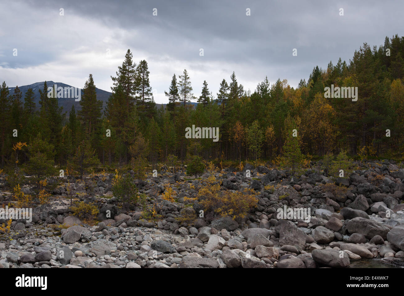Herbstlichen Wald, Flussufer mit Felsbrocken. Stockfoto