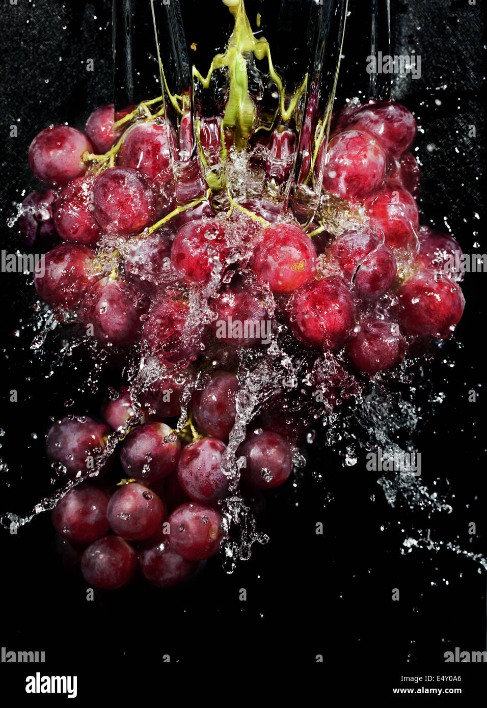 Trauben-Cluster in Wasser spritzt Stockfoto