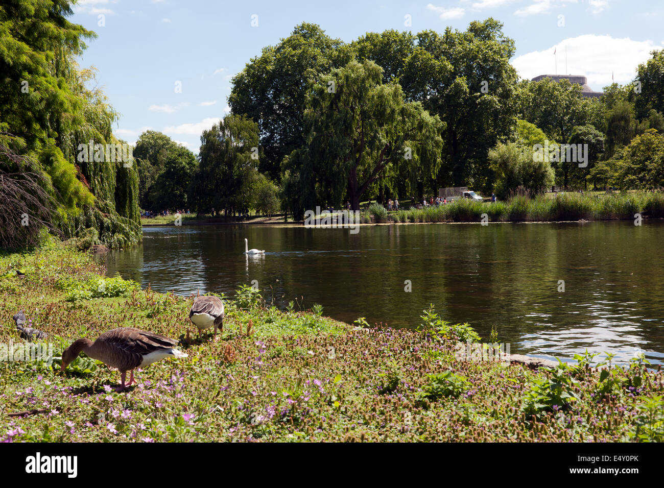 Blick von St. James Park See, mit Blick auf das Ministerium von Gerechtigkeit Gebäude, City of Westminster, London. Stockfoto