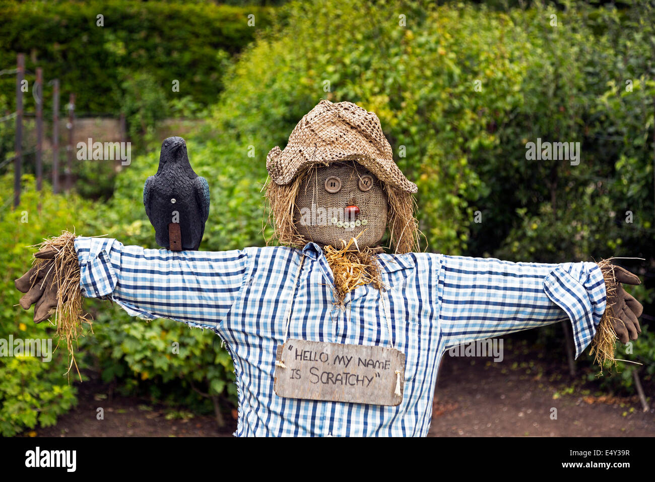 Hausgemachte Vogelscheuche in einem Gemüsegarten, Glasgow, Schottland, Großbritannien Stockfoto