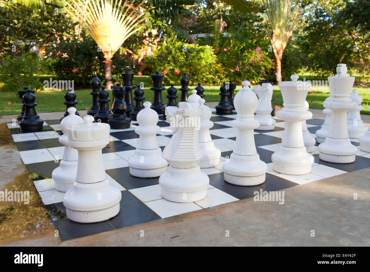 Zahlen zum Spiel in Schach auf die Natur Stockfoto