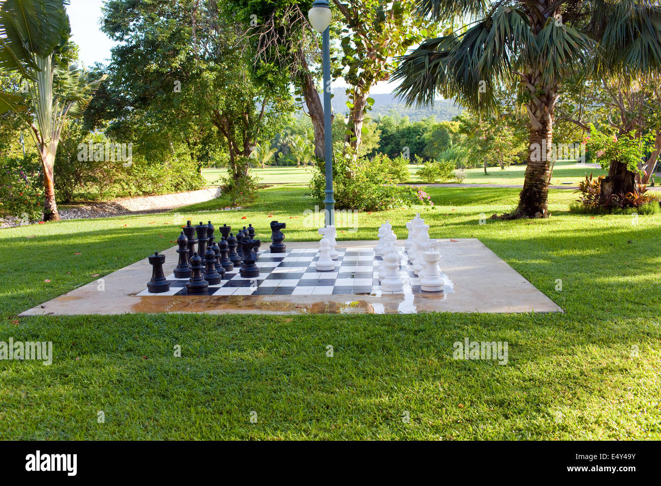 Zahlen zum Spiel in Schach auf die Natur Stockfoto