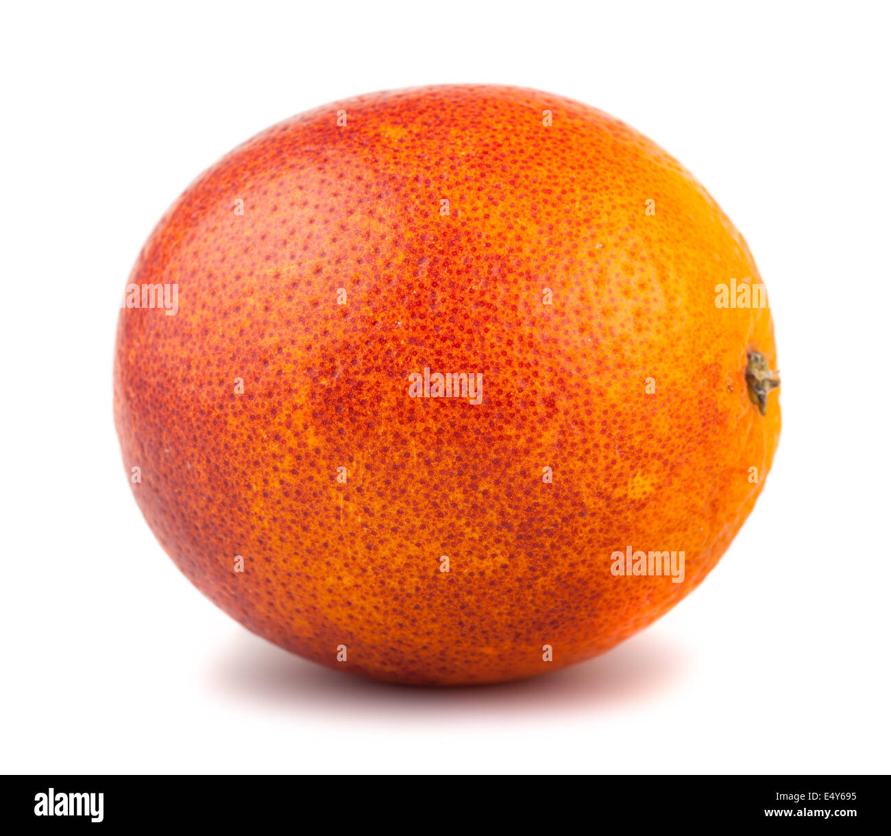 Einzigen Blut reifer roter orange Frucht Stockfoto