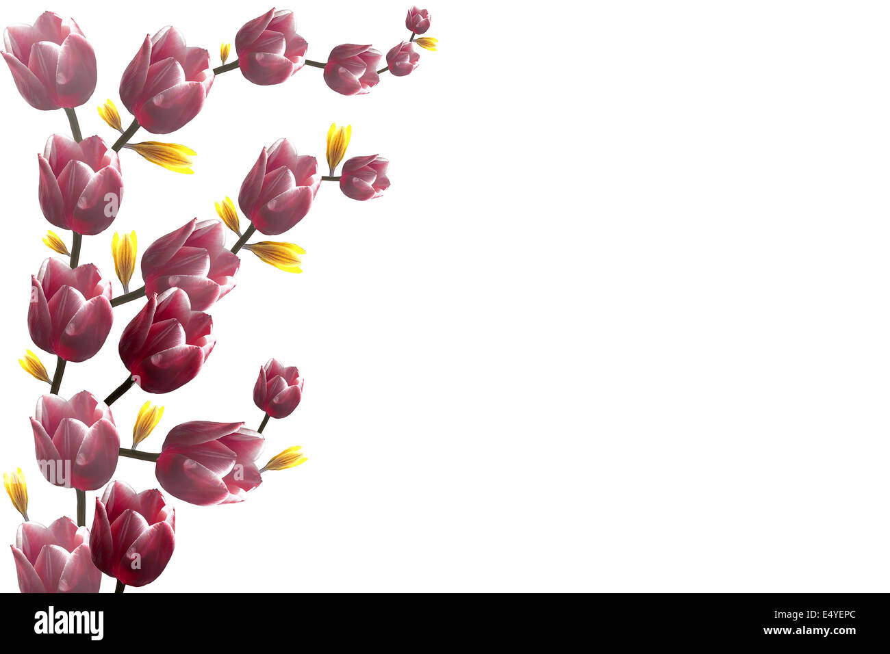 dekoratives element Stockfoto