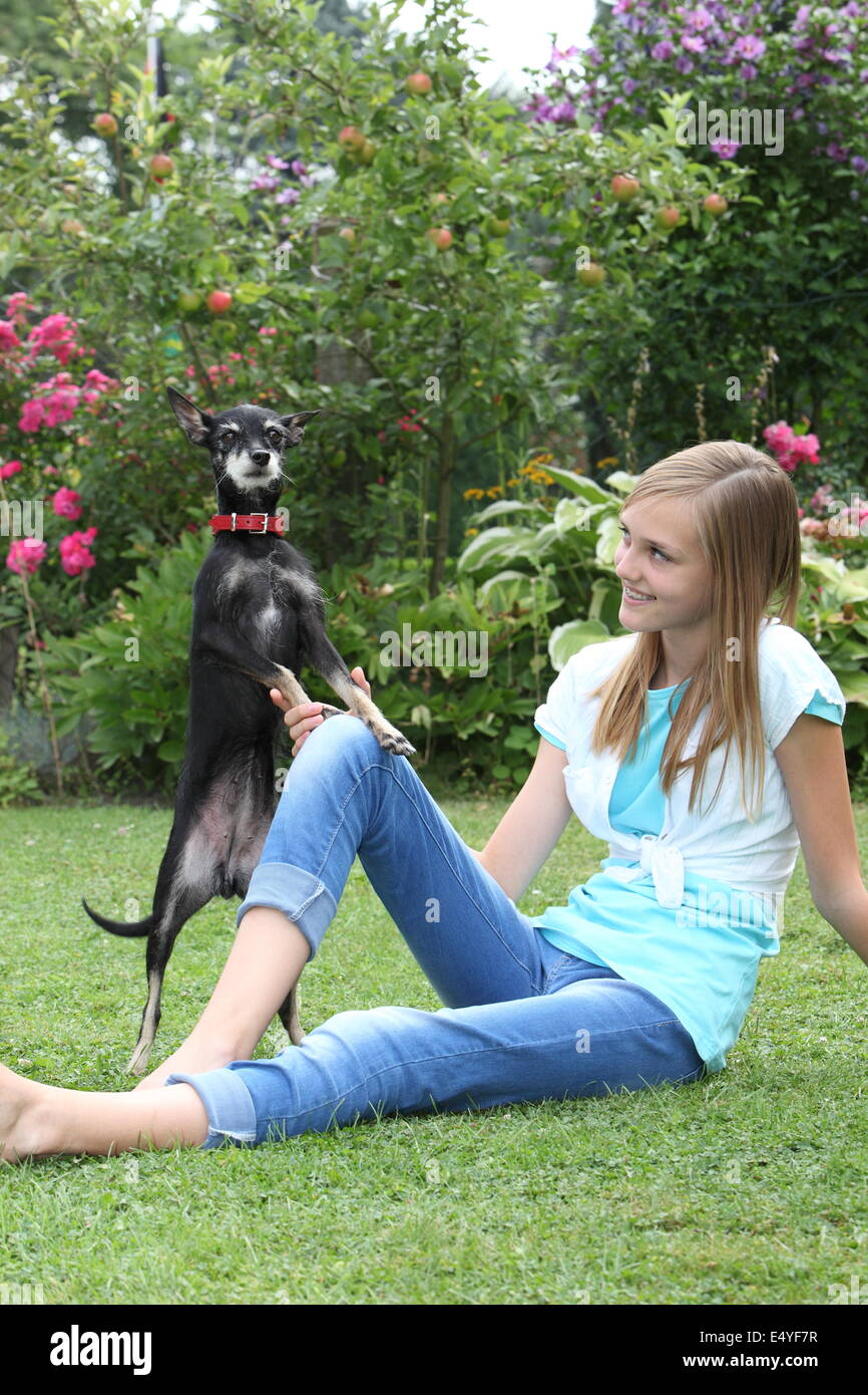 Niedlichen kleinen Hund mit einem jungen Mädchen spielen Stockfoto