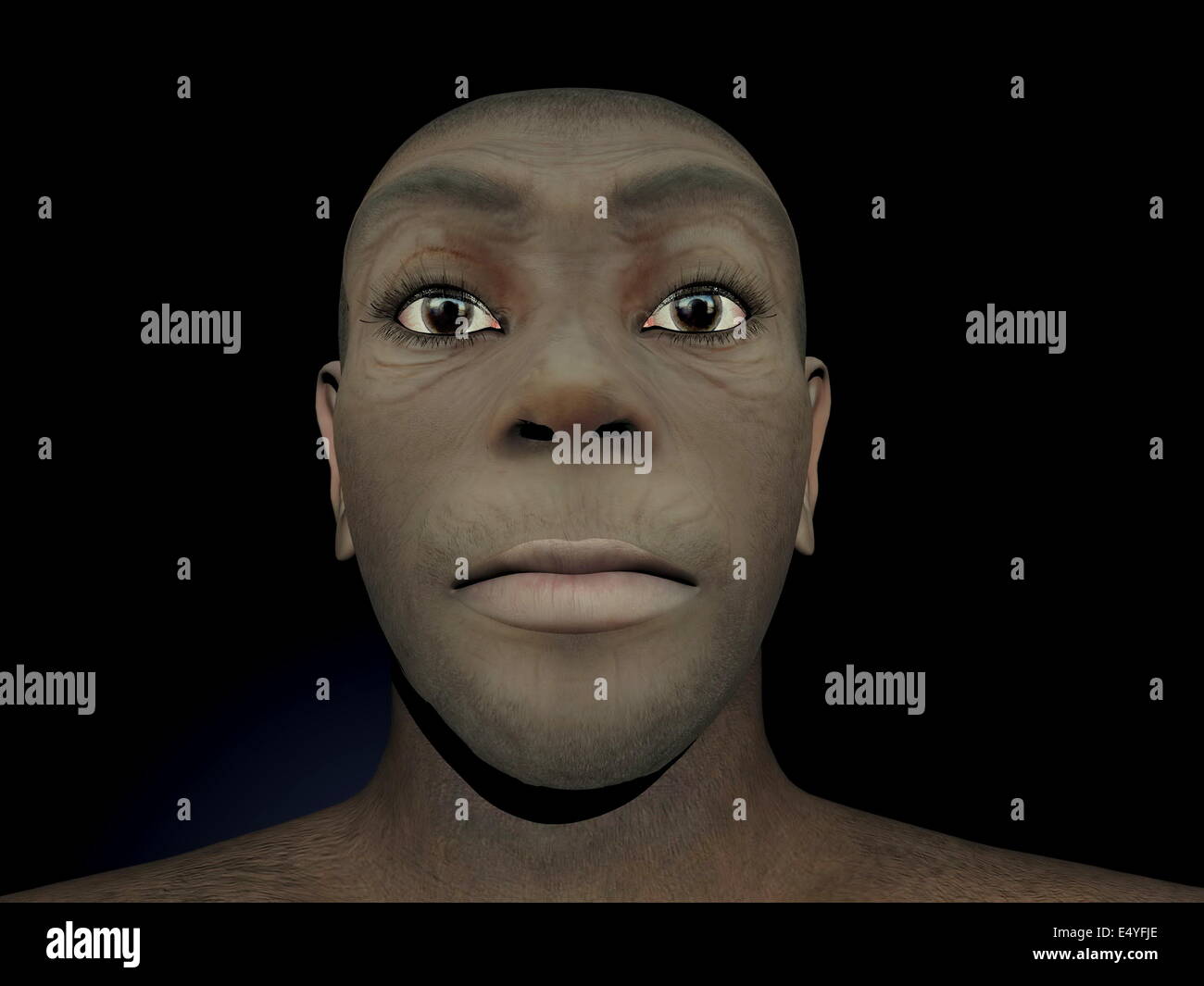 Homo Erectus weiblich - 3D render Stockfoto