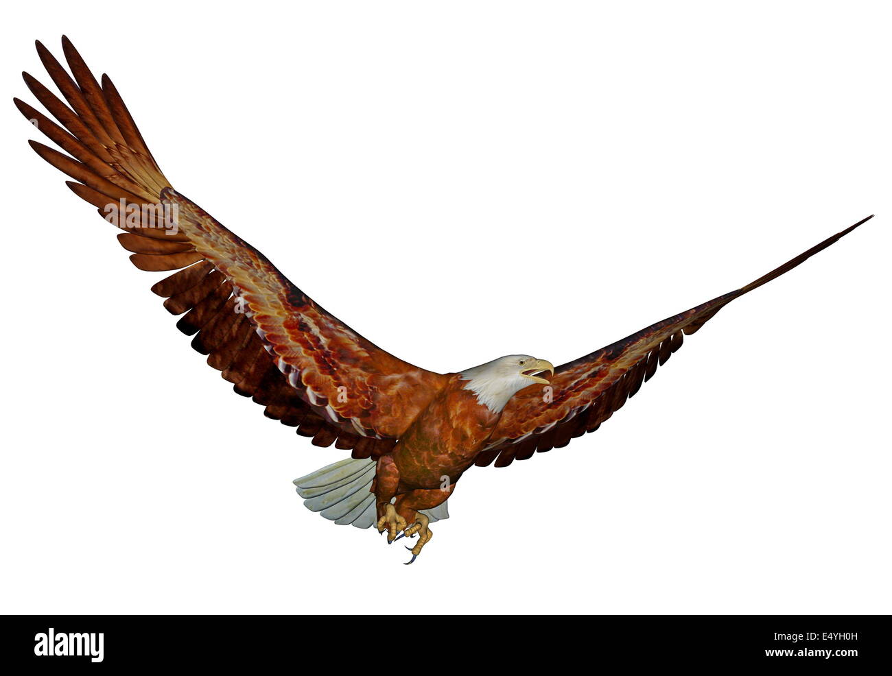 Weißkopfseeadler - 3D render Stockfoto