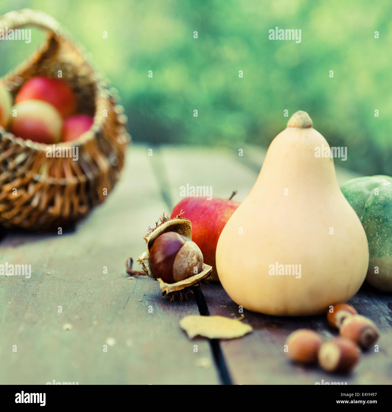 Kürbisse, Marmelade, Nüssen und Korb mit Äpfeln Stockfoto