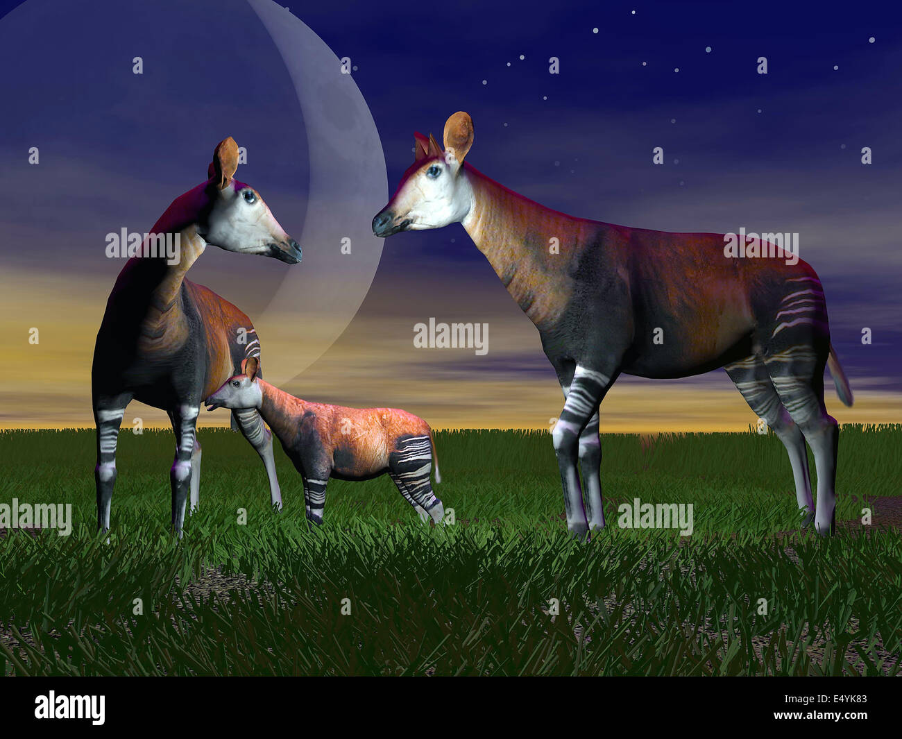 Okapi-Familie - 3D render Stockfoto