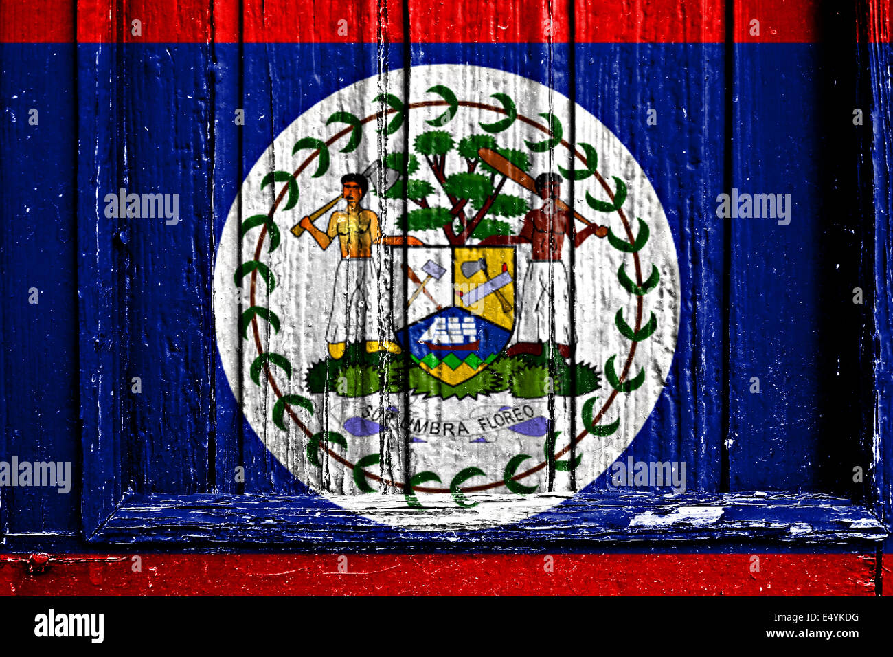 Flagge von Belize bemalt auf Holzrahmen Stockfoto