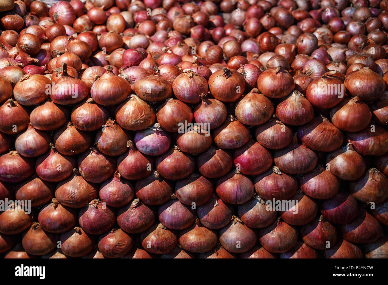 Zwiebeln für den Verkauf am Gemüsemarkt in Dadar, Mumbai. Stockfoto