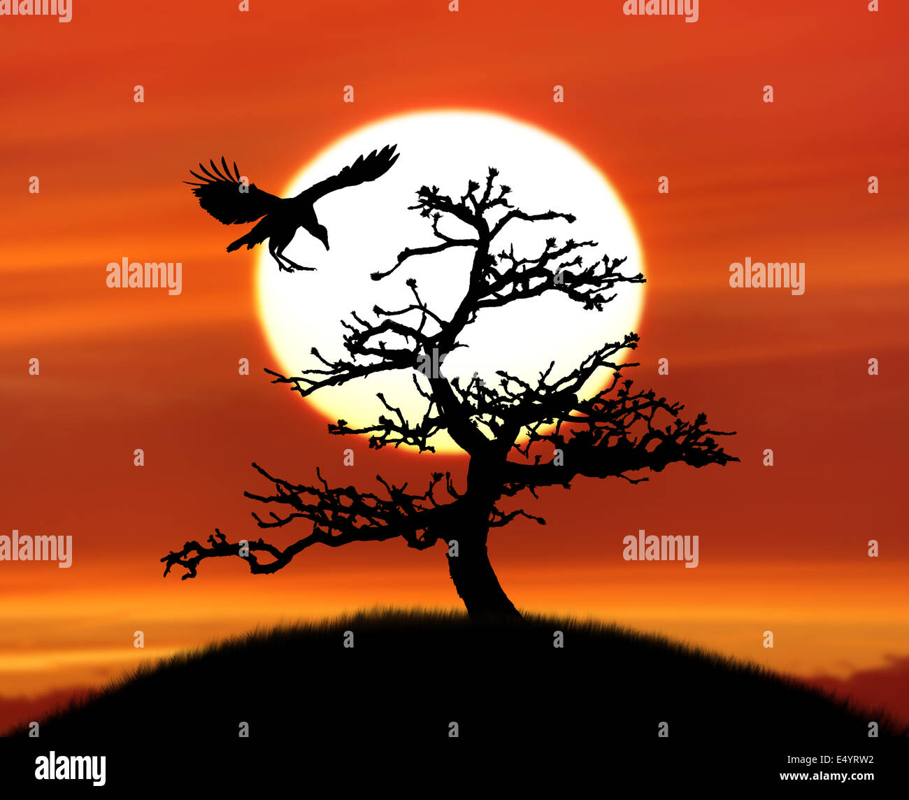 Baum-Silhouette und ein Vogel gegen Sonnenuntergang Stockfoto