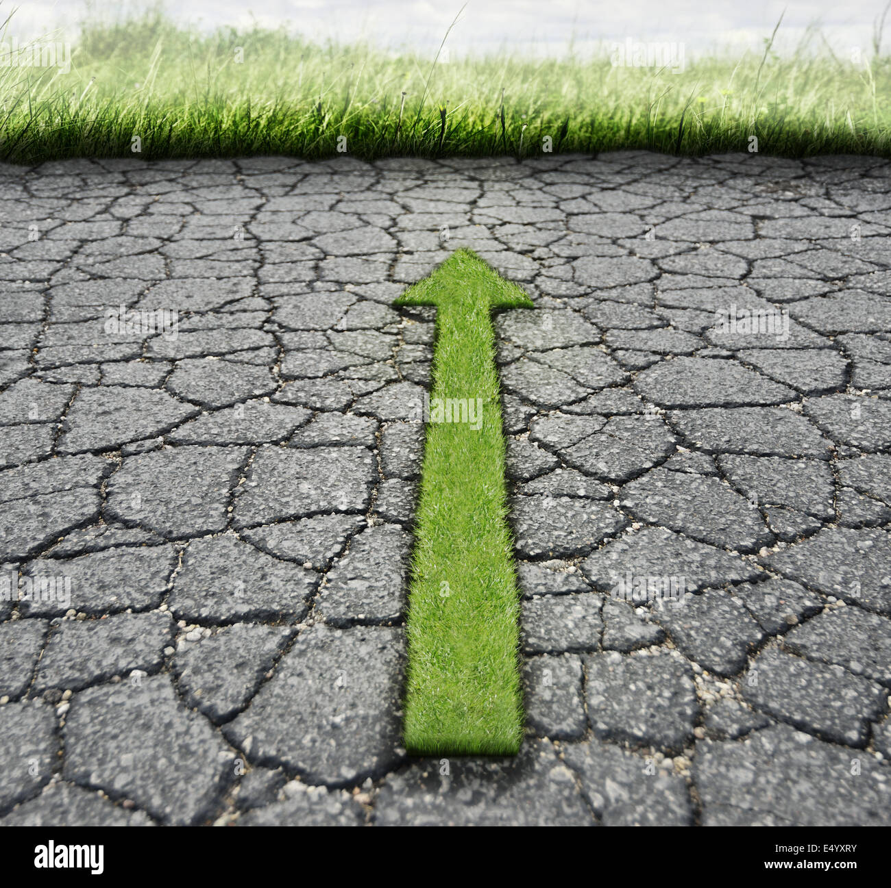 Gebrochene Asphalt und Rasen Stockfoto