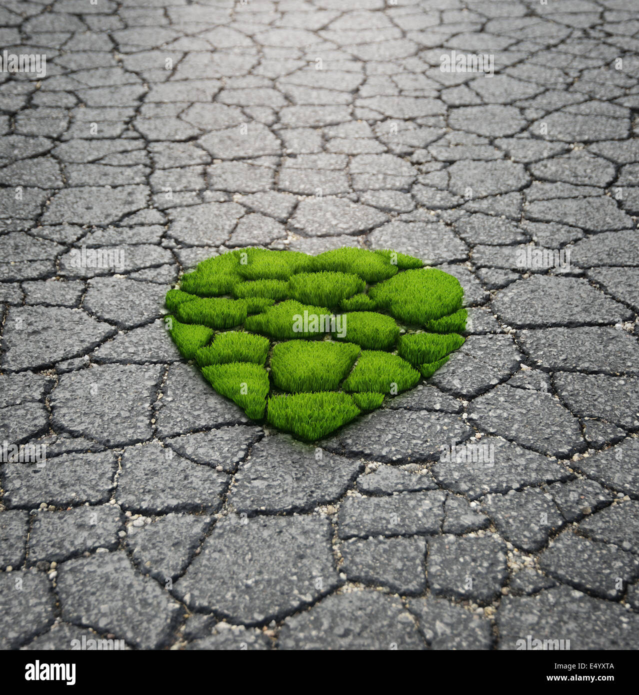Rasen wächst aus dem Asphalt Stockfoto