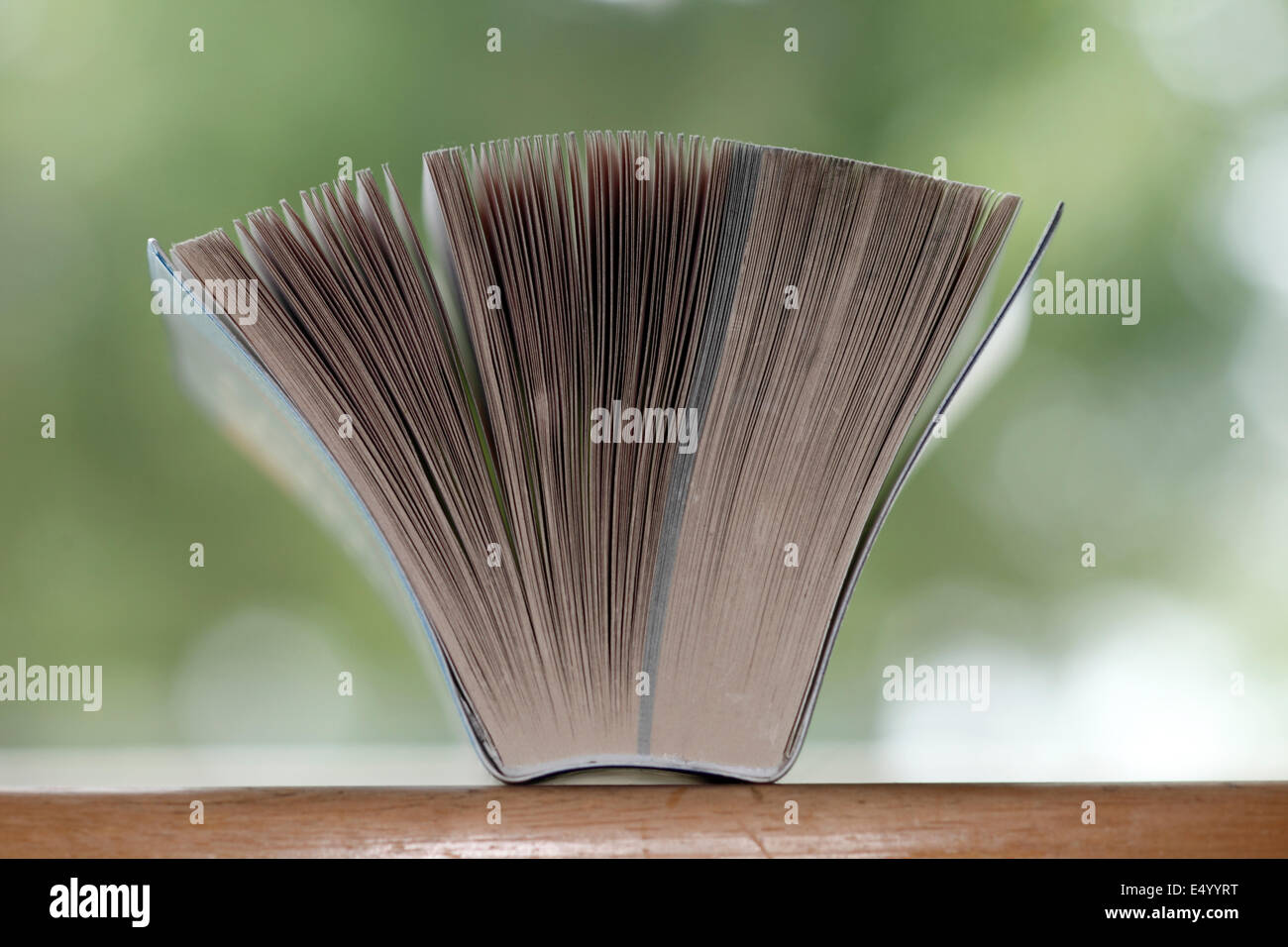 kleines Buch mit aufgefächerten Seiten Stockfoto