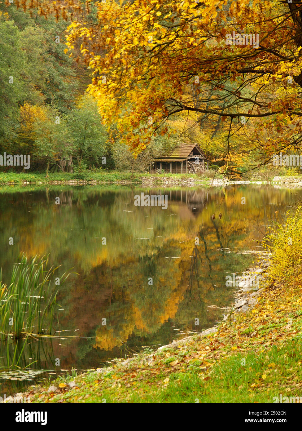 Herbst Teich Stockfoto