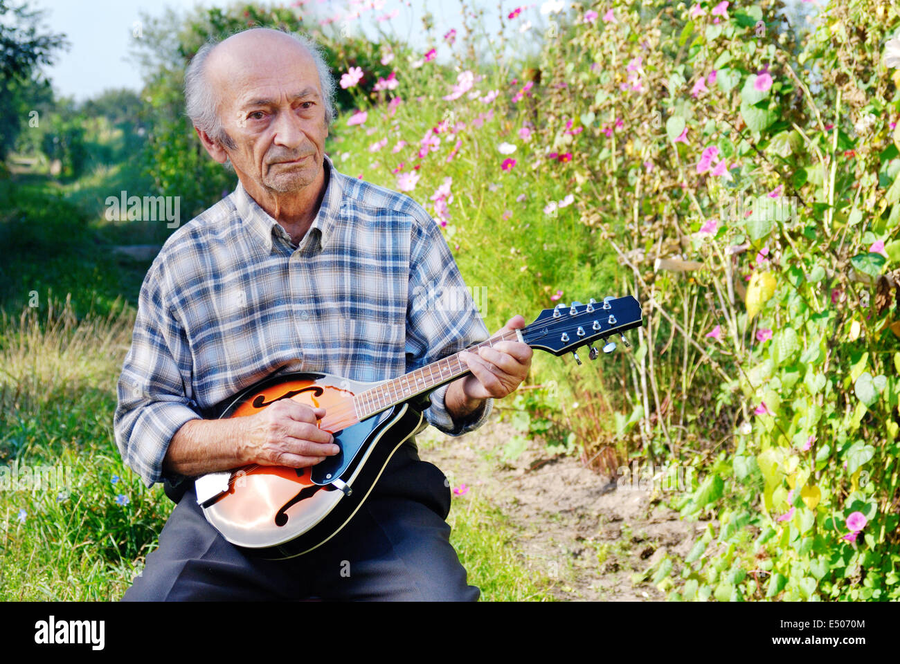 Senior Woman spielen Mandoline Stockfoto