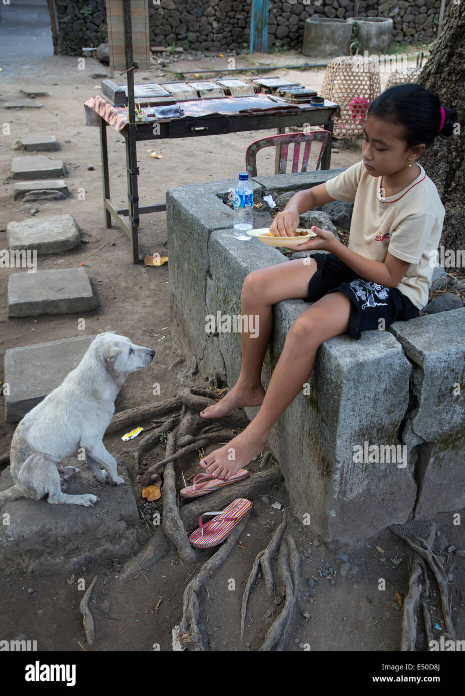 Bali, Indonesien.   Junge Mädchen essen Mittagessen während ihr Haustier Hund sieht auf.  Tenganan Dorf. Stockfoto