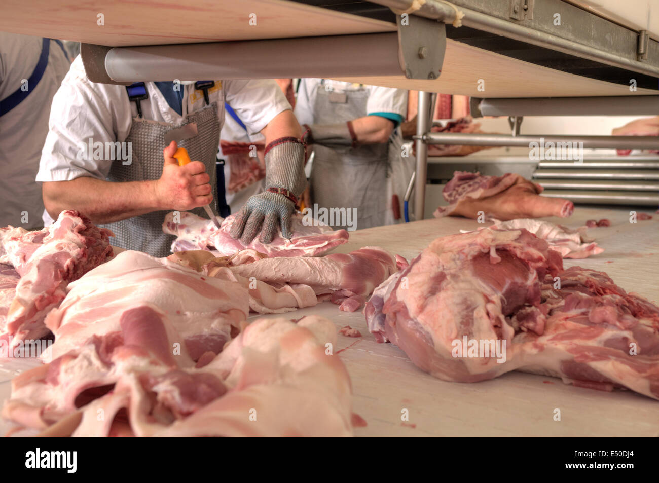 Schwein Fleisch essen Verarbeitungsindustrie Stockfoto