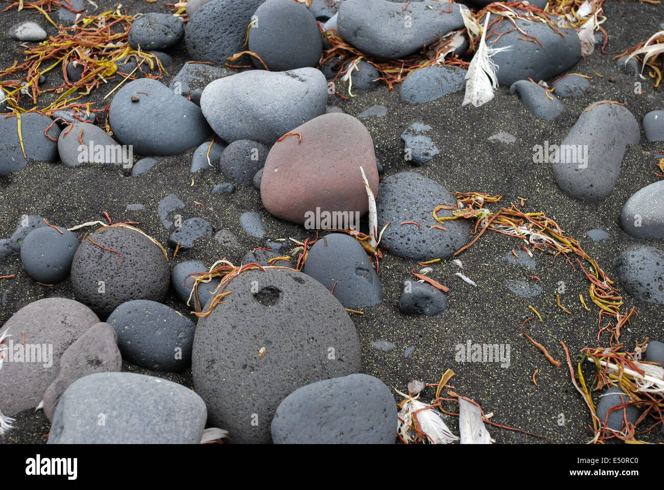 Insel Jan Mayen, Norwegen Stockfoto