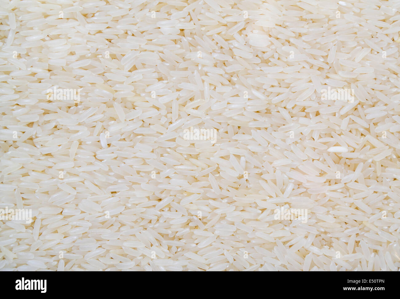 Am besten Thailand Reis Arten. Stockfoto