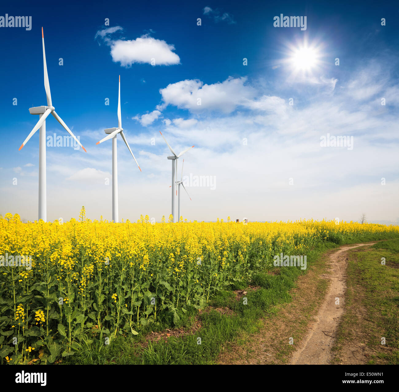 Raps-Feld mit Windrädern Stockfoto