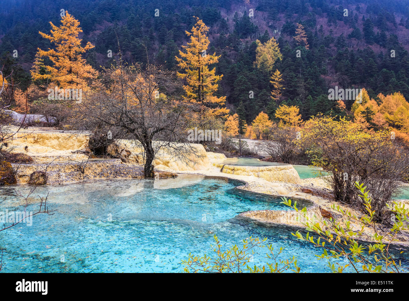 Schöne teiche in der natur Fotos und Bildmaterial in hoher Auflösung