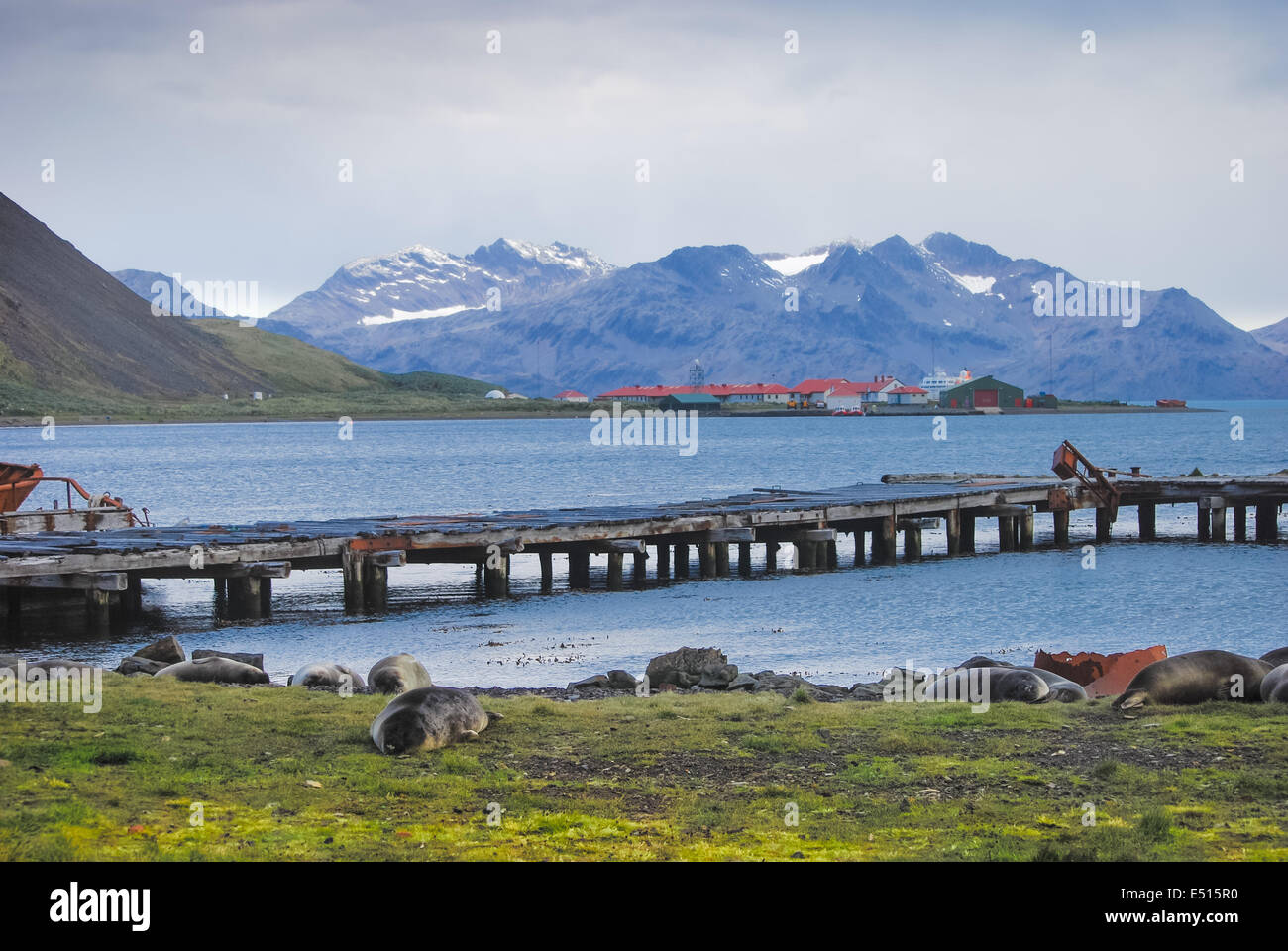 Walfänger Basis Grytviken, Südgeorgien Stockfoto