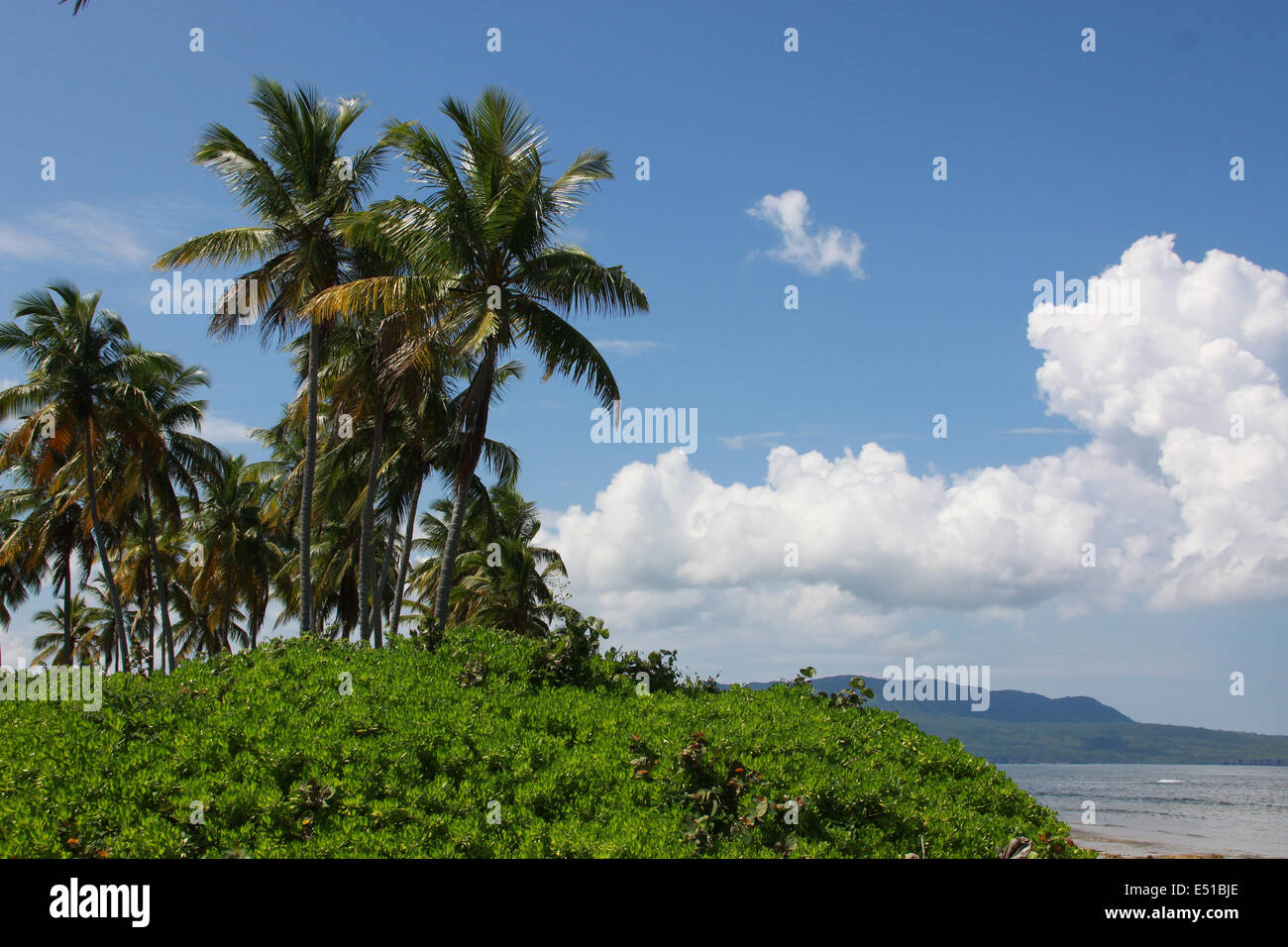 Karibikküste Stockfoto