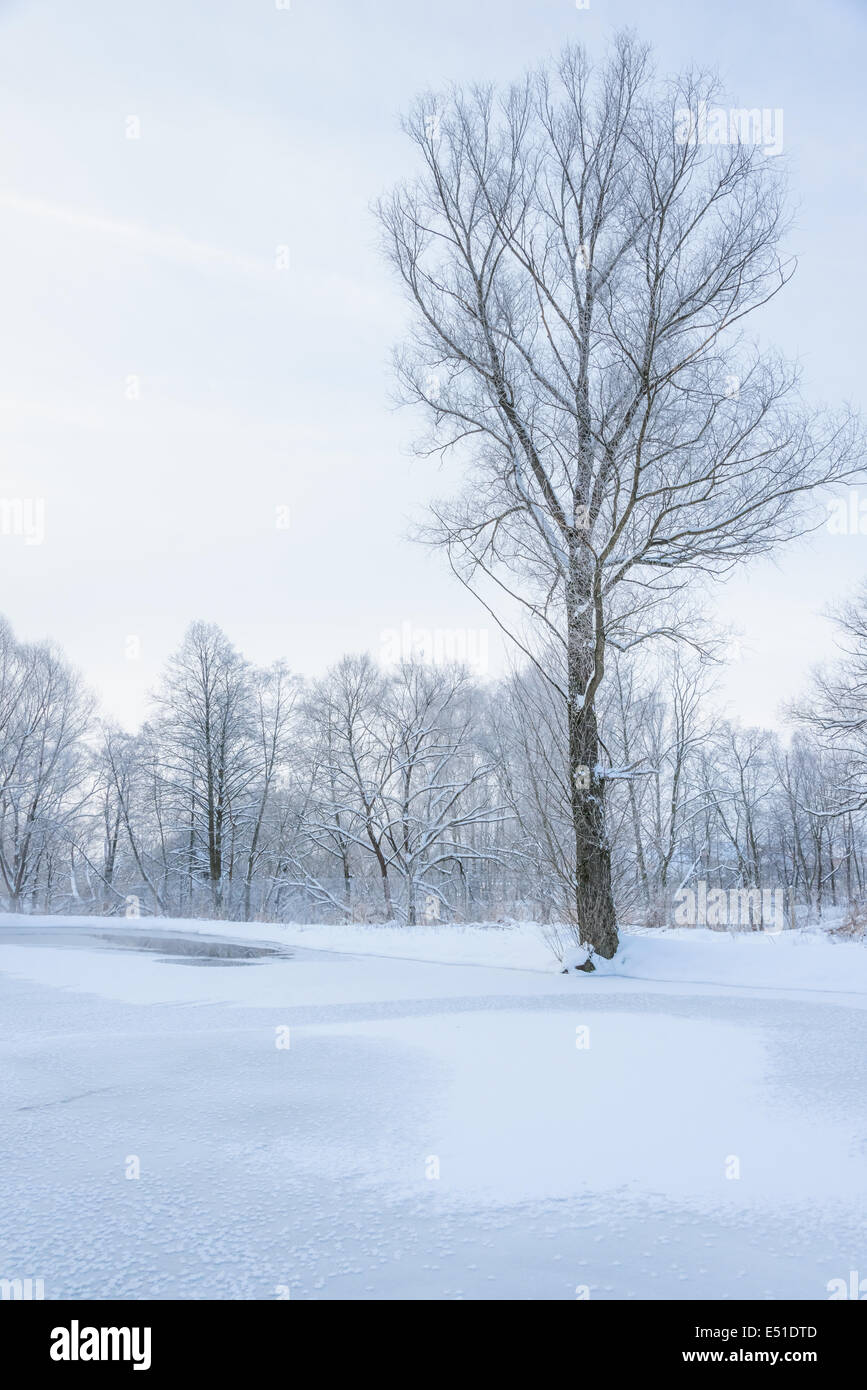 Winterlicher teich Fotos und Bildmaterial in hoher Auflösung Alamy