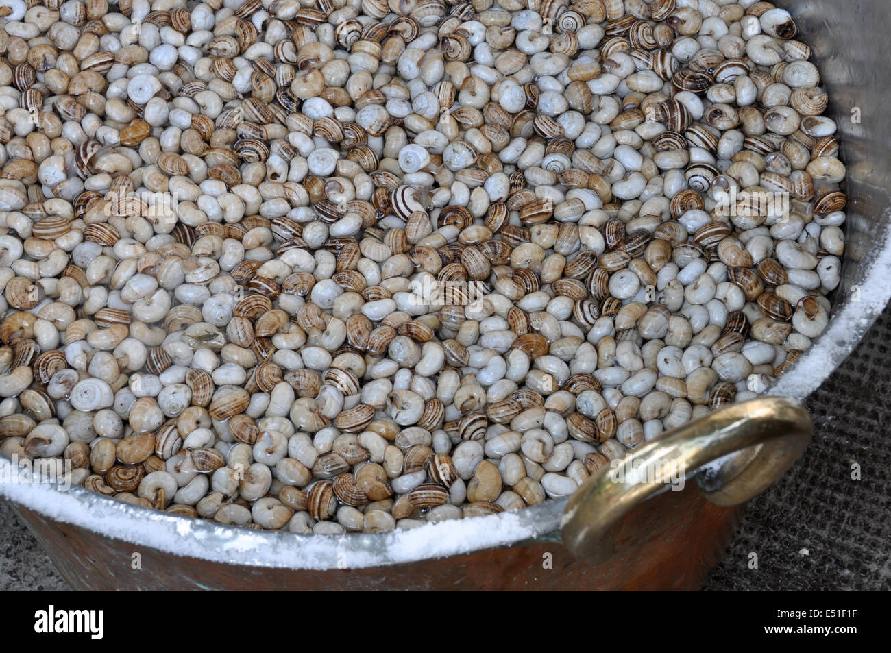 Palermo, Santa Rosalia, 390 Palermo, Vorbereitung von Schnecken, traditionelle Speisen, Sizilien, Italien, Europa Stockfoto