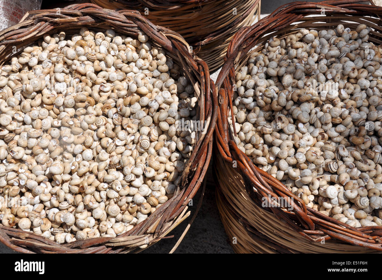 Palermo, Santa Rosalia, 390 Palermo, Vorbereitung von Schnecken, traditionelle Speisen, Sizilien, Italien, Europa Stockfoto